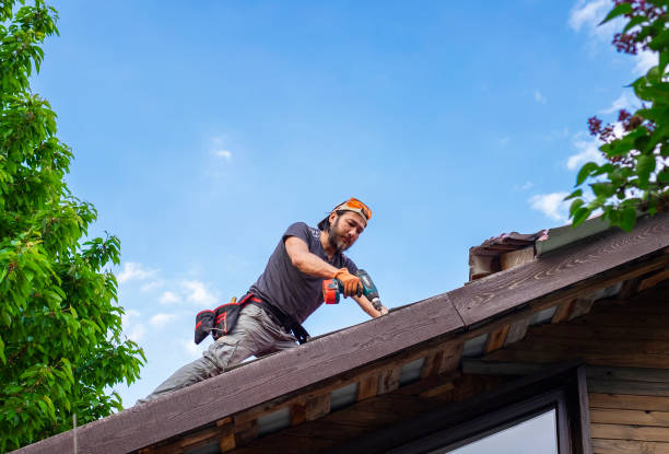 Best Green or Eco-Friendly Roofing Solutions  in Dalworthington Gardens, TX